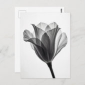 Monochrome botanical fine art photograph postkarte (Vorne/Hinten)
