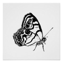 Monochrome Butterfly Poster