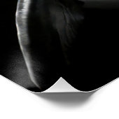 Monochrome Dolphin Portrait - Underwater Marine A Poster (Ecke)