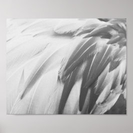 Monochrome Flamingo Feathers Printable Art Poster