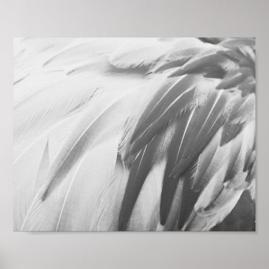 Monochrome Flamingo Feathers Printable Art Poster (Vorne)