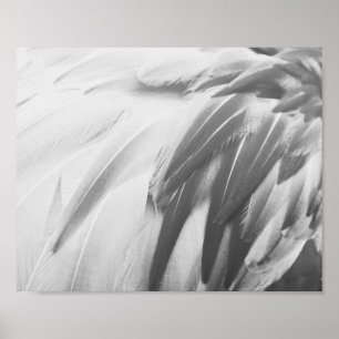 Monochrome Flamingo-Federn Druckbare Kunst Poster