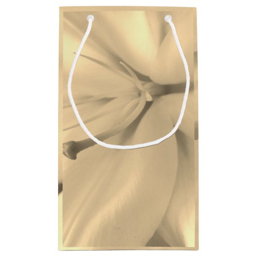 Monochrome Foto-Geschenktasche Kleine Geschenktüte (Rückseite)