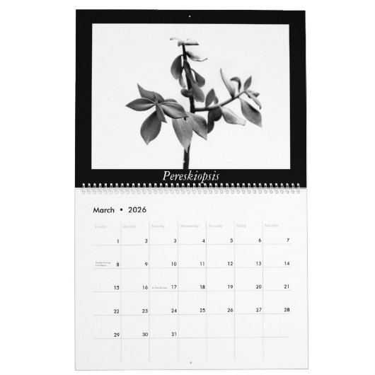 Monochrome Kakteen 2025 Kalender (Mär 2026)