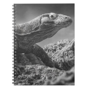 Monochrome Komodo Dragon Rock Study Notizblock