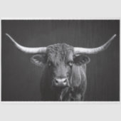 Monochrome Longhorn Steer Cattle Decoupage Seidenpapier (Vorderseite)