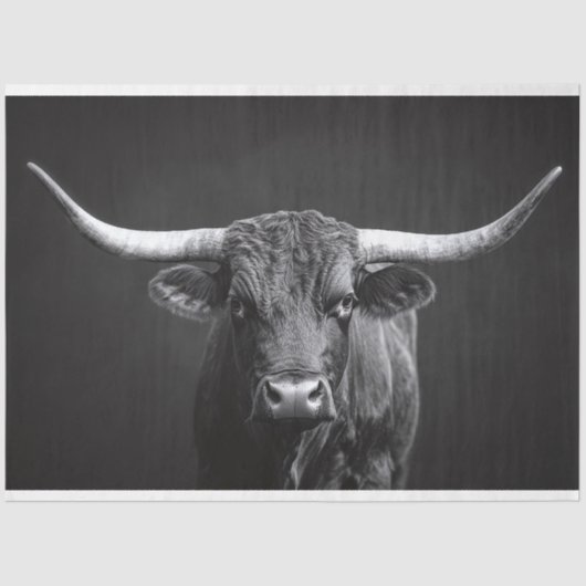 Monochrome Longhorn Steer Cattle Decoupage Seidenpapier (Vorderseite)