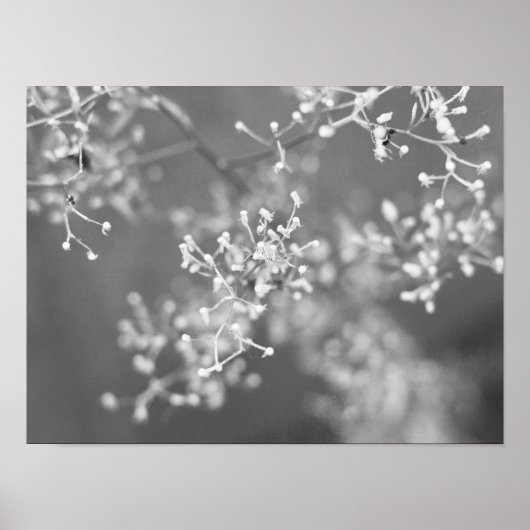 Monochrome Meadow Poster (Vorne)