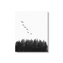 Monochrome Minimalistische Fliegengänse und Kiefer