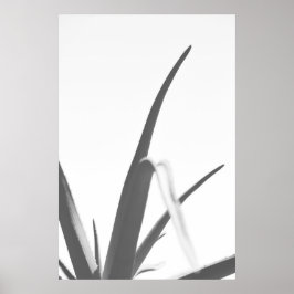 Monochrome Schwarz-weiße Aloe-Pflanze-Blätter Poster