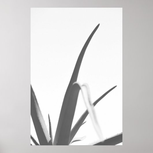 Monochrome Schwarz-weiße Aloe-Pflanze-Blätter Poster (Vorne)