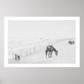 Monochrome Schwarz-weiße Landschaft Wildpferde Poster (Vorne)