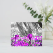 Monochrome Schwarz-weiße Lila Blume Postkarte (Stehend Vorderseite)