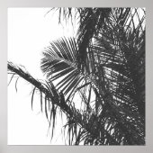 Monochrome Schwarz-weiße Palm Tree-Blätter Poster (Vorne)