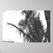 Monochrome Schwarz-weiße Palm Tree-Blätter Poster (Vorne)