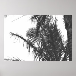 Monochrome Schwarz-weiße Palm Tree-Blätter Poster
