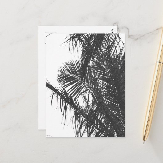 Monochrome Schwarz-weiße Palm Tree-Blätter Postkarte (Vorderseite/Rückseite Beispiel)
