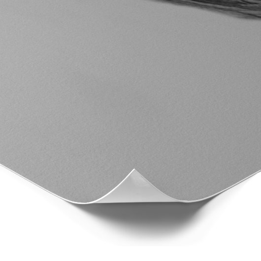 Monochrome Skull Top Hat Poster (Ecke)