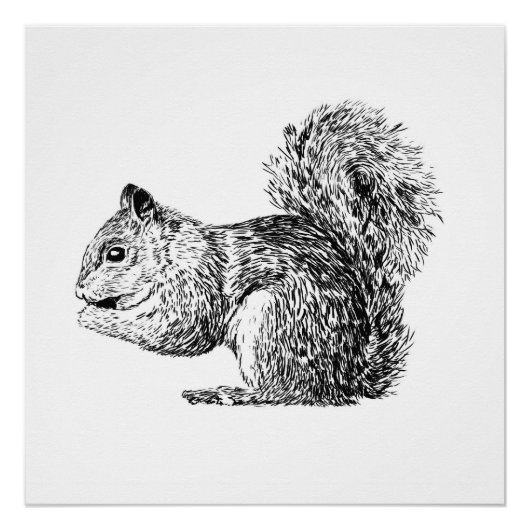 Monochrome Squirrel poster (part of a set) (Vorderseite)