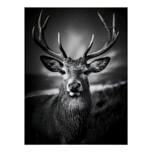Monochrome Stag Portrait with Impressive Antlers Poster (Vorderseite)