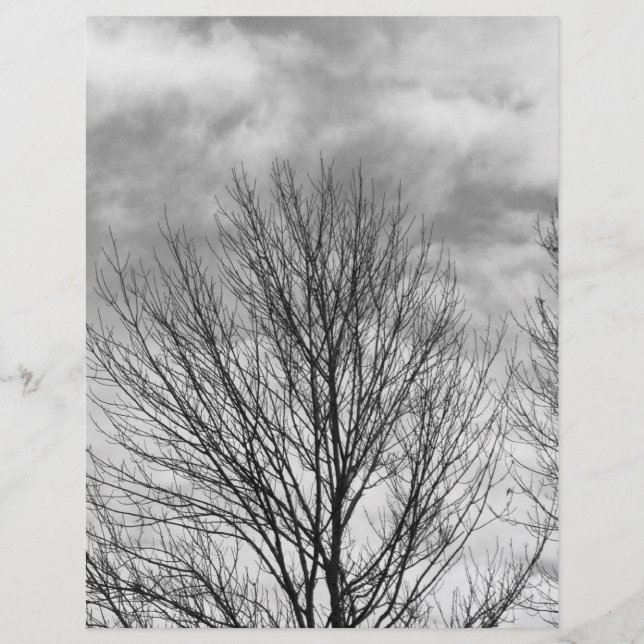 Monochrome Tree Oben (Vorderseite)