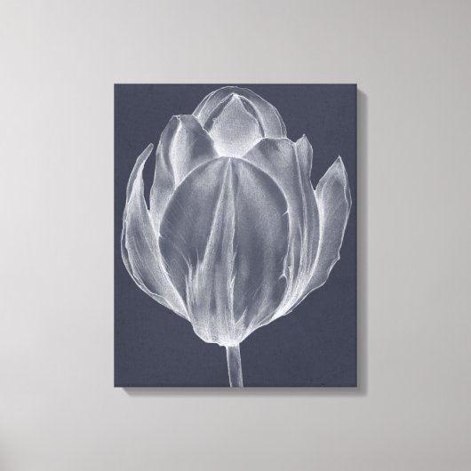 Monochrome Tulip I Leinwanddruck (Vorderseite)