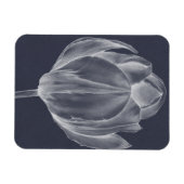 Monochrome Tulip I Magnet (Horizontal)