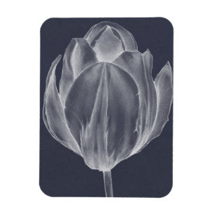 Monochrome Tulip I Magnet