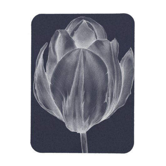 Monochrome Tulip I Magnet (Vertikal)