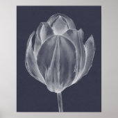 Monochrome Tulip I Poster (Vorne)