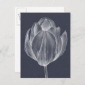 Monochrome Tulip I Postkarte (Vorne/Hinten)