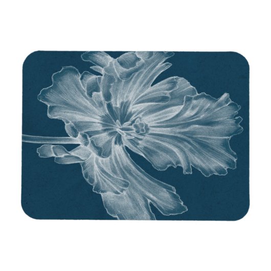Monochrome Tulip II Magnet (Horizontal)