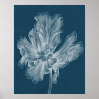 Monochrome Tulip II