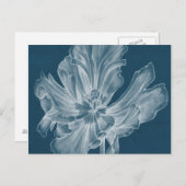 Monochrome Tulip II Postkarte (Vorne/Hinten)