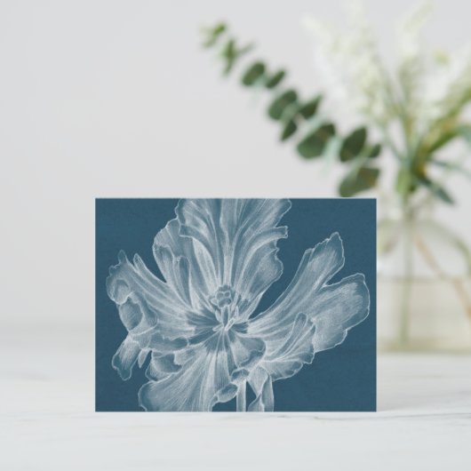 Monochrome Tulip II Postkarte (Stehend Vorderseite)