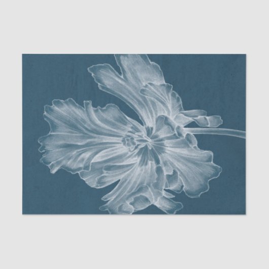 Monochrome Tulip II Seidenpapier (Vorderseite)