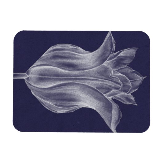 Monochrome Tulip III Magnet (Horizontal)