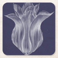 Monochrome Tulip III