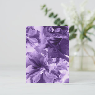 Monochrome Violette Feiertagspostkarte