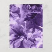 Monochrome Violette Feiertagspostkarte (Vorderseite)