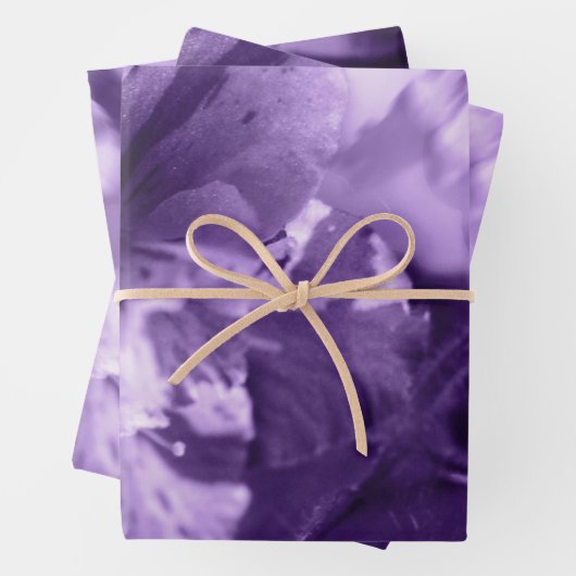 Monochrome Violette Geschenkpapier Set (Beispiel)