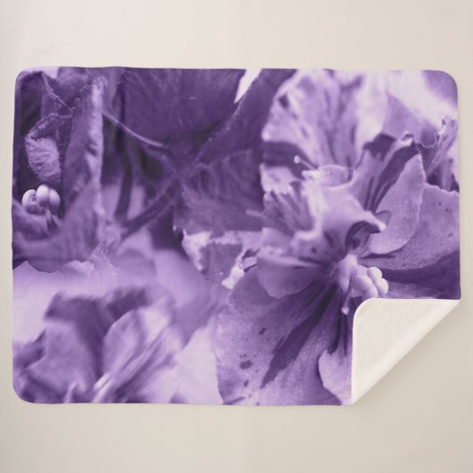 Monochrome Violette Sherpadecke (Vorderseite (Horizontal))