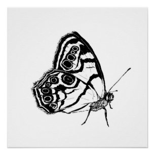 Monochromer Schmetterling Poster