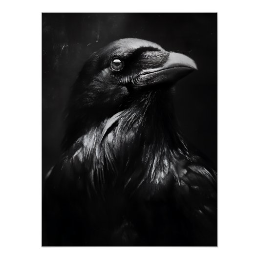 Monochromes Rabenporträt Poster (Vorderseite)