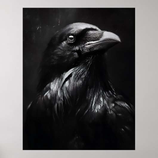 Monochromes Rabenporträt Poster (Vorne)
