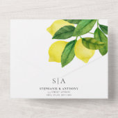 Monografie Lemon Branch Greenerity Wedding All In One Einladung (Rückseite)
