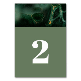 Monografische Hochzeit der modernen grünen Marmorp Tischnummer