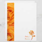 Monogram Beautiful Yellow Orange Hybrid Tee Rose (Vorne/Hinten)