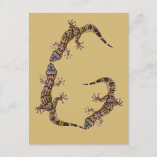 Monogramm Buchstabe G Gecko Postkarte