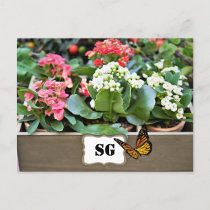 Monogramm Container Flower Garden Postkarte